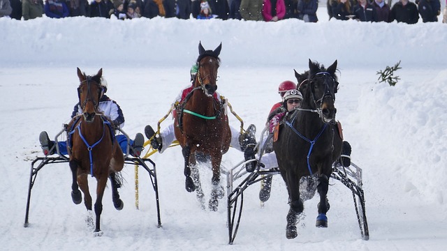 意媒：比萨PK帕尔马既是6分战，更是“重量级”中锋对决
