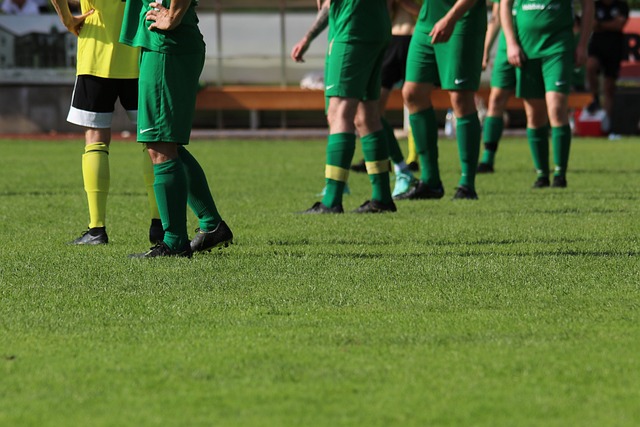 令许多观众 令许多观众