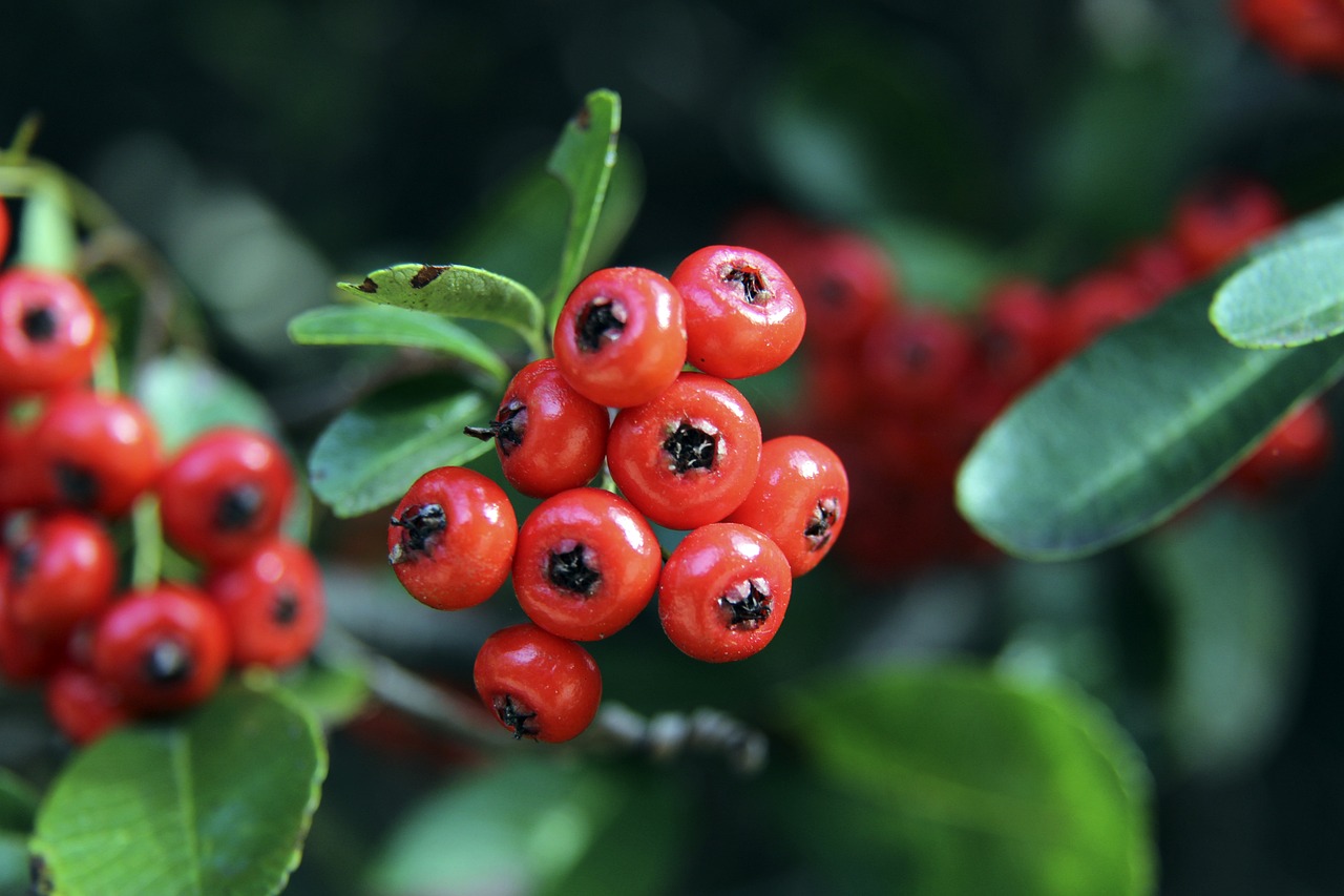 也让管理层 也让管理层