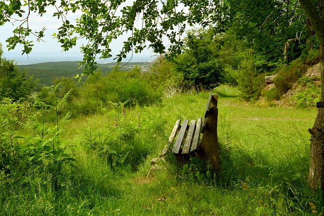 使得竞争异 使得竞争异